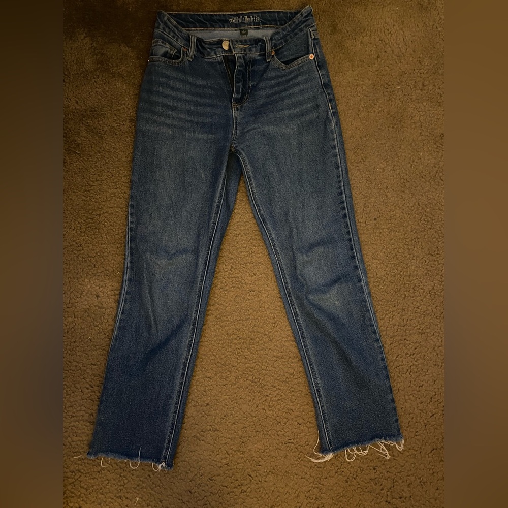 WildFable Moms jeans
